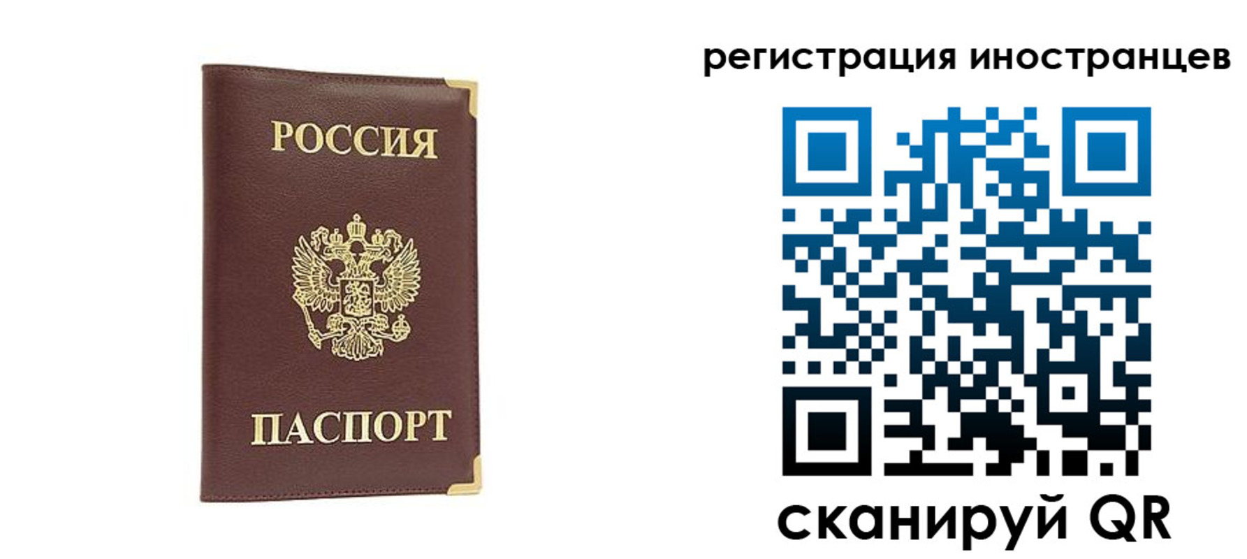 регистрация в Саратовской области